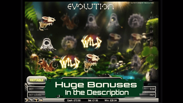 Бонусная игра Evolution 3